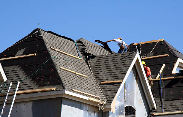 Best Roof Gutter Cleaning  in Grant, MI